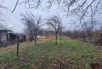 Casa cu teren aferent - 21