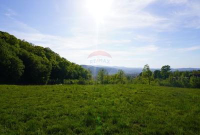 Teren 33,137mp Sighetu Marmatiei / Strada Mocanitei - 1