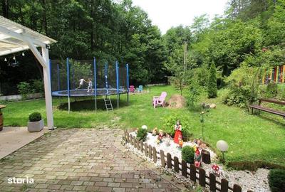 Casă cu 3 camere în Govăjdia - 3