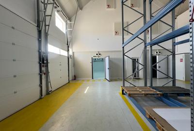 Hala 400-800mp, ambientala, refrigerare, congelare, zona Skoda, Imperiului 10 - 2