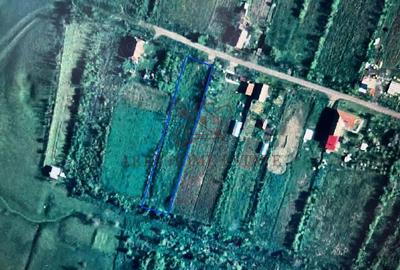 Teren intravilan 2.192 mp cu front 20 m Seceani, Timi? - 5