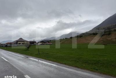 Teren de 1240 mp, în Plaiul Foii - 2