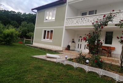 Casa de vanzare in Baia de Aries jud.Alba Casa de vanzare in Baia de Aries jud.Alba - 4