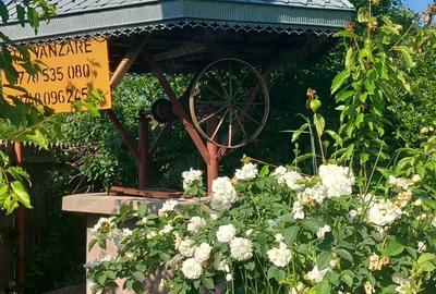 Casa de vanzare 1400mp - 3