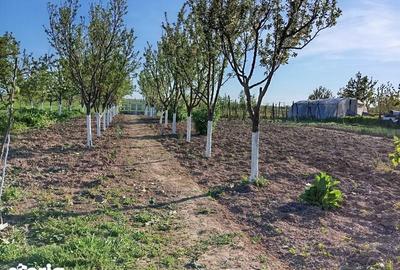 Casă cu 4 camere cu Teren 109 Mp în Leordeni - 3