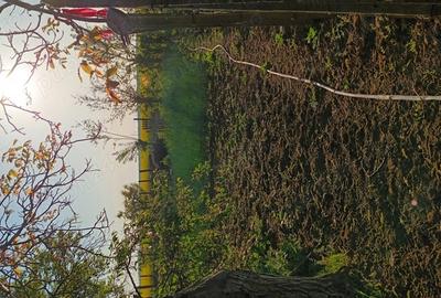 Casă cu 4 camere în Central - 9