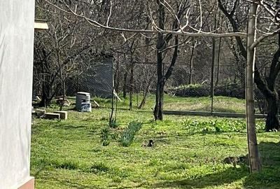 Casă cu 2 camere cu Teren 1042 Mp în Central - 2