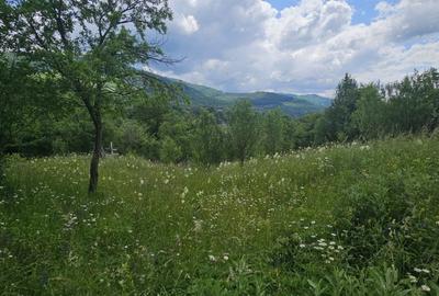 REL4001143 Teren de vanzare in Valea Doftanei - 2