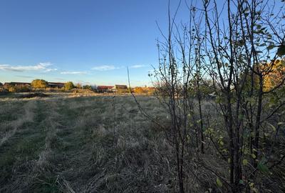 Teren Construcții intravilan de 2118 mp, în Becicherecu Mic - 3