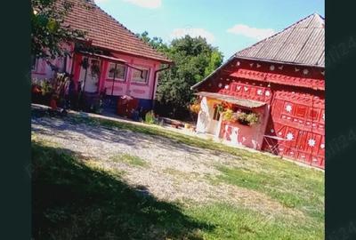 Casă cu 2 camere cu Teren 53 Mp în Tămășești - 3