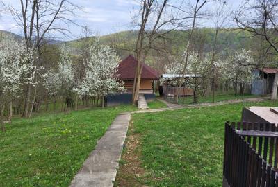 Casă cu 3 camere în Central - 2