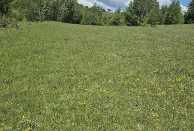 Teren de 3000 mp, în Ponor - 2