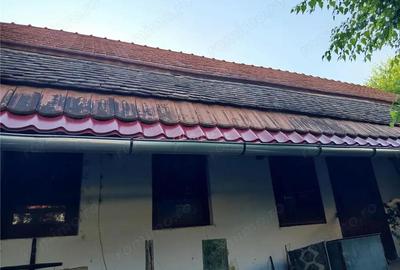 Casă cu Teren 744 Mp în Ilidia - 1