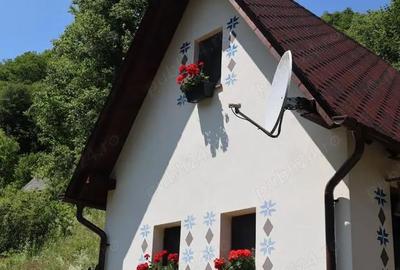 Casă cu 2 camere în Lăpuștești - 1