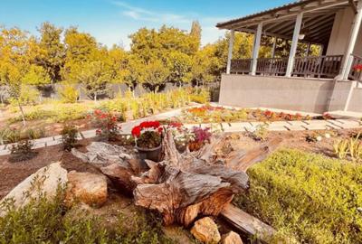 Casă cu 5 camere cu Teren 1000 Mp în Bucium - 11