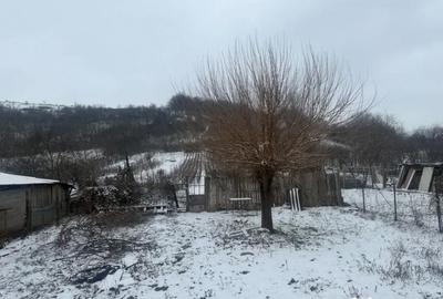 Casă cu 5 camere cu Teren 2000 Mp în Podari - 13