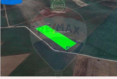 Teren Investi?ional de 52500 mp in Arice?tii Rahtivani... - 2