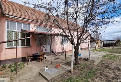 Casa de vanzare Mailat - 3000mp teren - 6