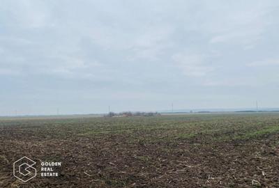 Teren, Intrare Recas, Drumul E70 - 3