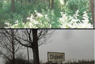Teren de 800 mp, în Didești - 4