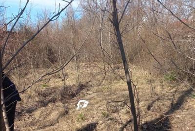 Prelungirea Ghencea-Valea Furcii - 5