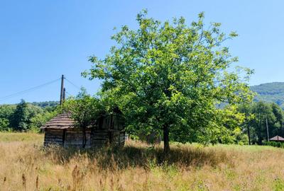2500 mp TEREN INTRAVILAN MUNTII APUSENI, Negreni – Cluj, E60 - Mal Crisul Repede - 6