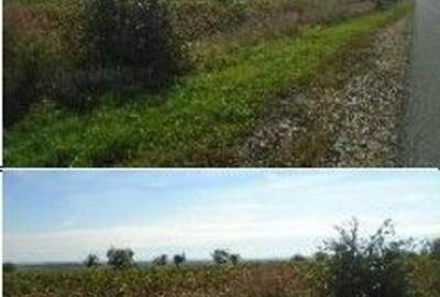 Teren extravilan Obrejita, ID: R2832813 - 3