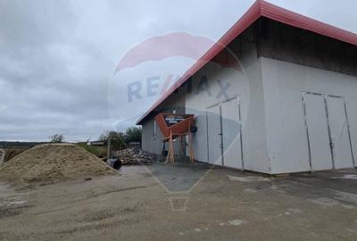 DE VANZARE Hala productie/depozitare - 17