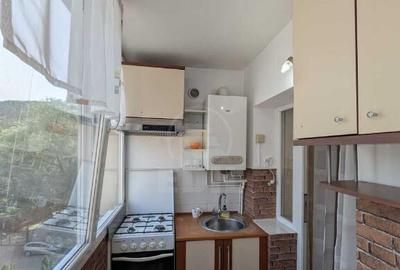 Apartament de 1 camera, zona VALEA GARBAULUI, FLORESTI - 6