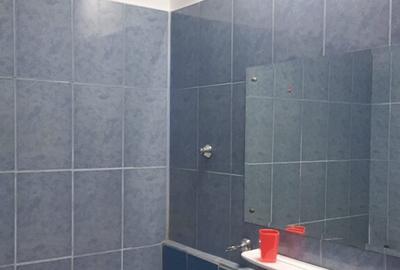 Dau in chirie apartament 2 camere Dristor - 6