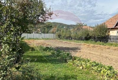 Casa Maneciu | Cheia | 4 camere | teren generos (1828 m... - 7