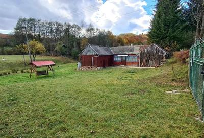 Vand casa cu teren Vand casa cu teren - 4