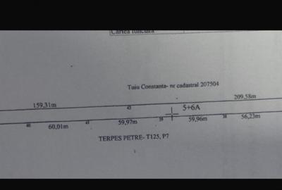 Teren de 4523 mp, în Cernele - 1