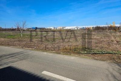 Teren Construcții intravilan de 602 mp, în Dumbrăvița - 2