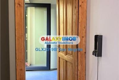 Unirii-Mitropolie vila P+1 de inchiriat - 9