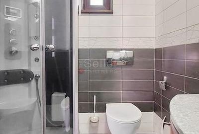 Vila Deosebita Brasov - 12