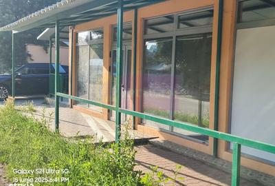 Casă cu 10 camere cu Teren 6000 Mp în Bulbucata - 17