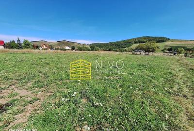 Teren intravilan Ernei - 3