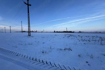 Teren de 18000 mp, în Becicherecu Mic - 1