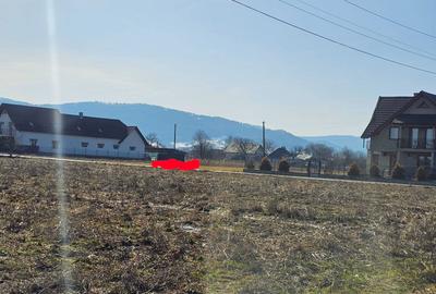 Teren de 1500 mp, în Vicovu de Sus - 6