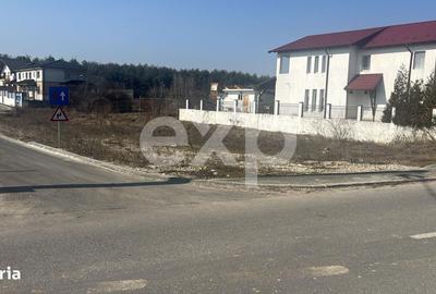 Spațiu comercial, în Trivale - 5