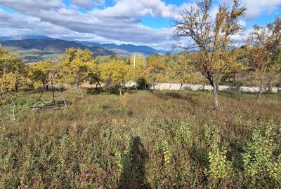 Spațiu comercial, în Sânbotin - 6