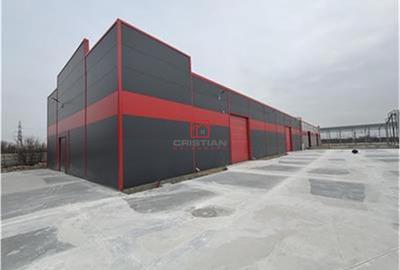 Spațiu comercial, de 6,000 mp, în Jilava - 7