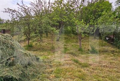 Casa tradi?ionala din lemn, cu teren de 600 mp. - Bodoc - 2