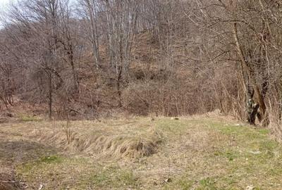 Spațiu comercial, în Vârfuri - 8