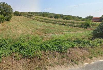 Teren de 3000 mp, în Berzasca - 7