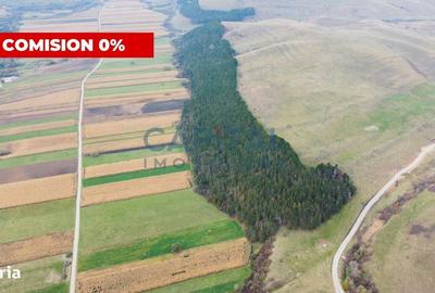 Teren de 200000 mp, în Gilău - 2