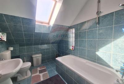 Doua case de vanzare in aceeasi curte, in zona Sub Arini - 11