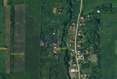 Spațiu comercial, în Bârlea