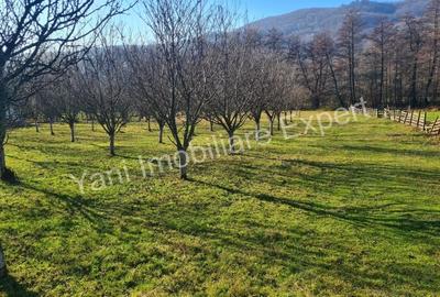 Teren de 4166 mp, în Stănești - 5